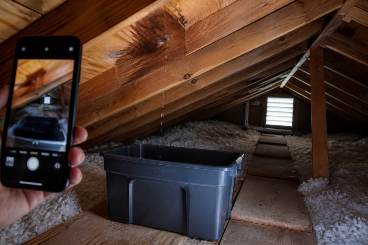 A small attic roof leak is caught in a bin and documented with a phone