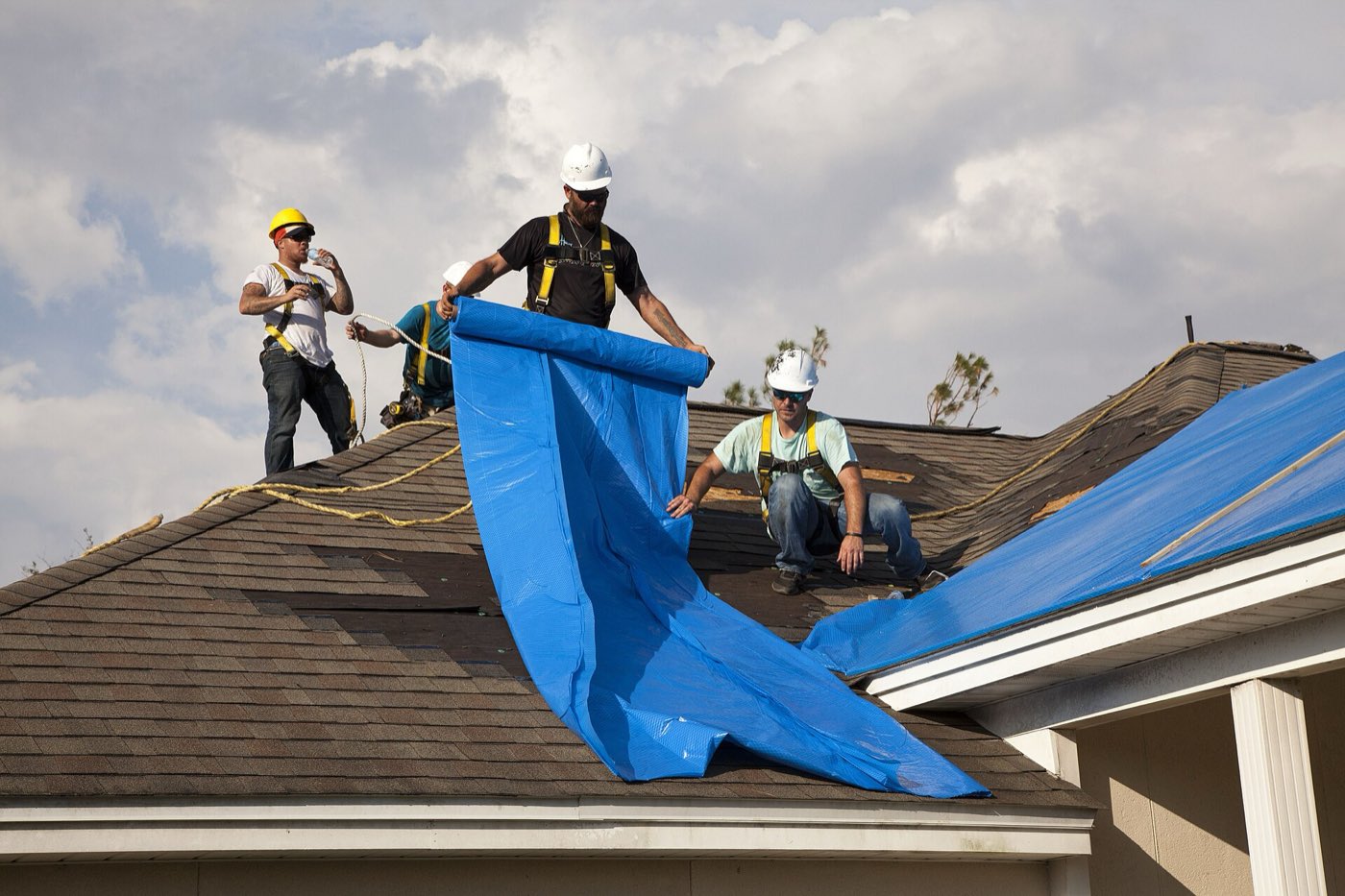 Four roofers in hard hats and harnesses unroll blue temporary roofing over a damaged shingle roof