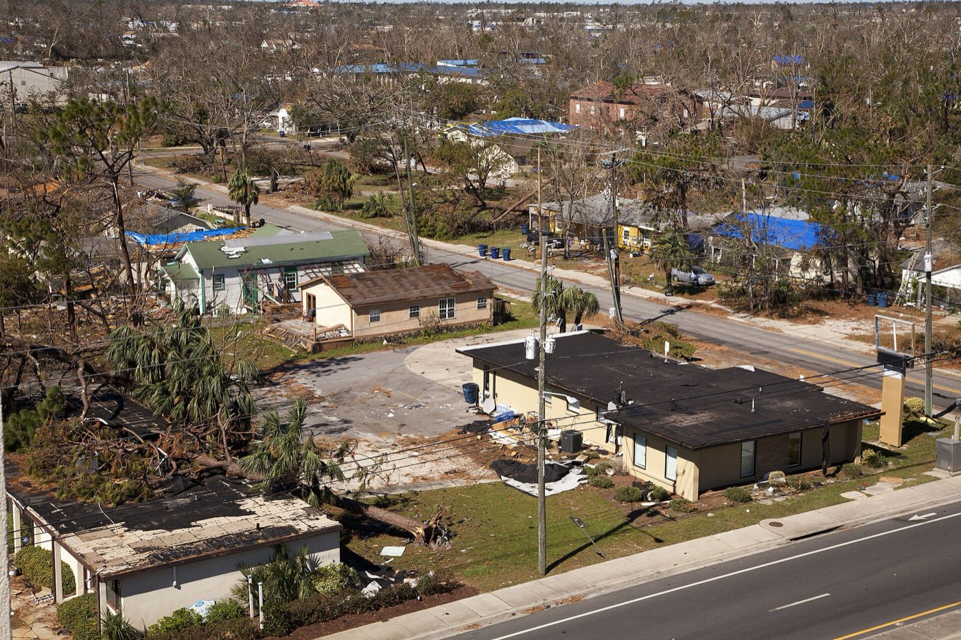 View from above of a Panama City neighborhood with stripped trees, debris and blue tarps on many roofs